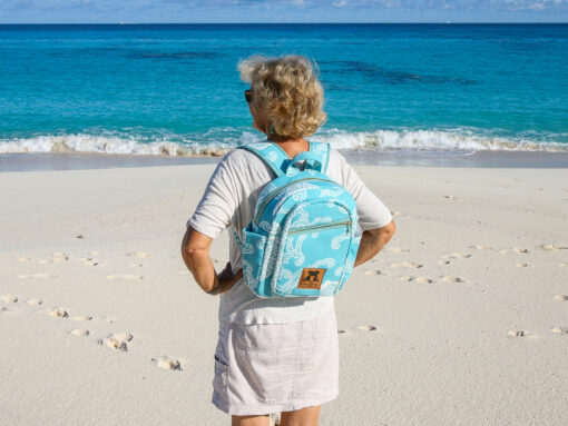 Rachel Backpack blue